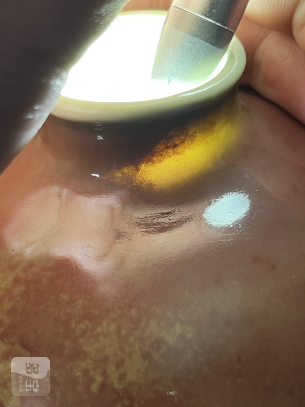 清康熙 豇豆红釉暗刻团龙纹太白尊 - 图19